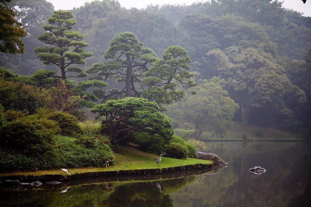 Tora Hotel Tokyo-Rikugienn 寅ホテル 六義園 A Tóquio Exterior foto